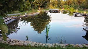 La piscine écolo avec ses plantes pour purifier l'eau naturellement